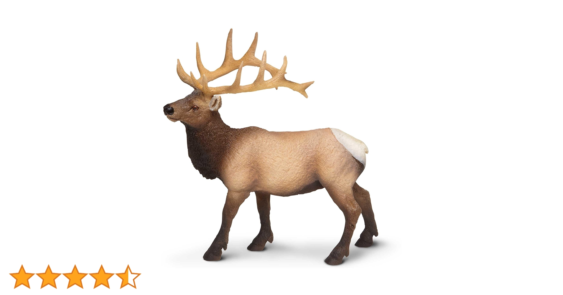 61Lzp7tw8uL.jpg_BO30,255,255,